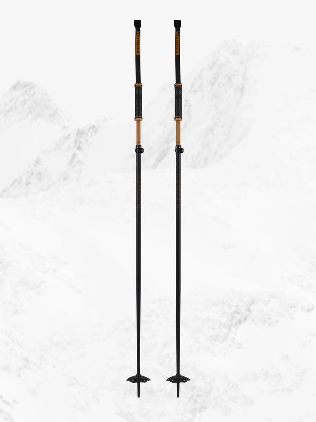 Ski poles deep snow-Armada AK Adjustable Poles