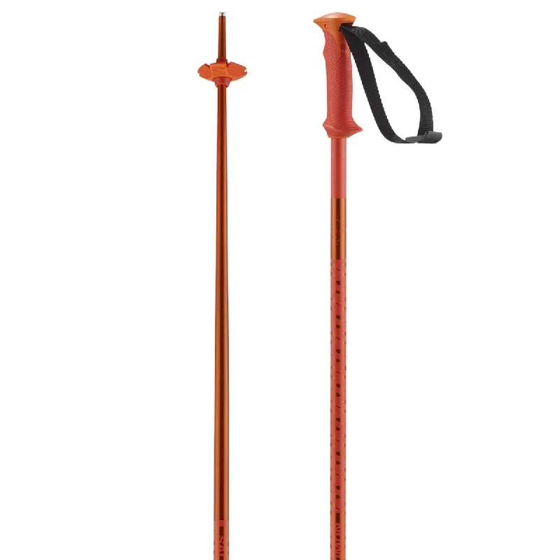 Ski poles starter-Salomon Polar