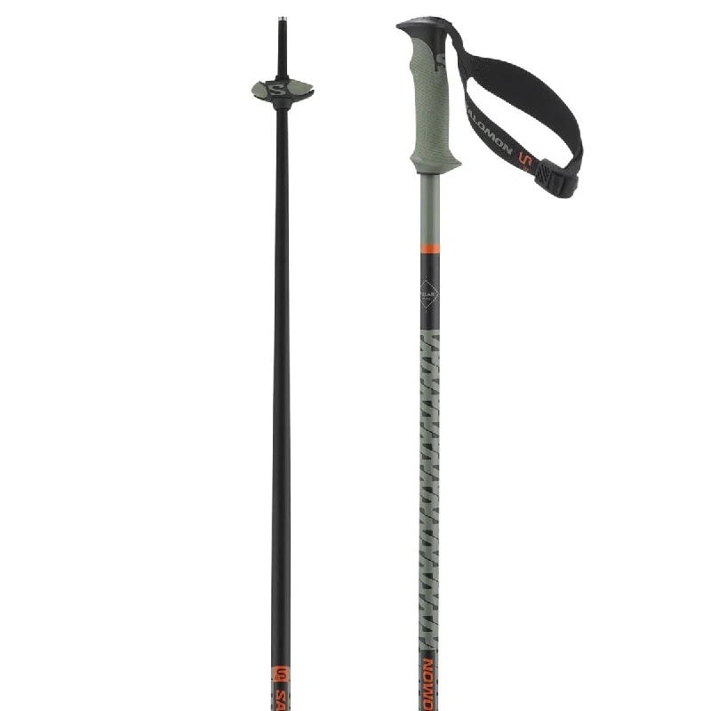 Ski poles luxury range-Salomon Polar PRO S3